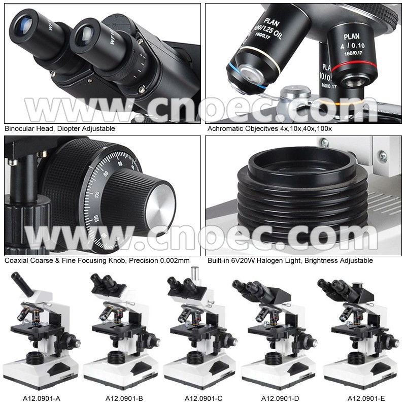 40x - 1600x Compound Optical Microscope For Laboratory , CE Rohs A12.0901